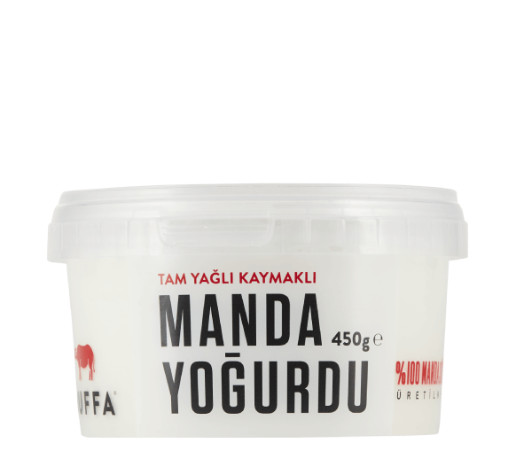 MANDA YOĞURDU 450g