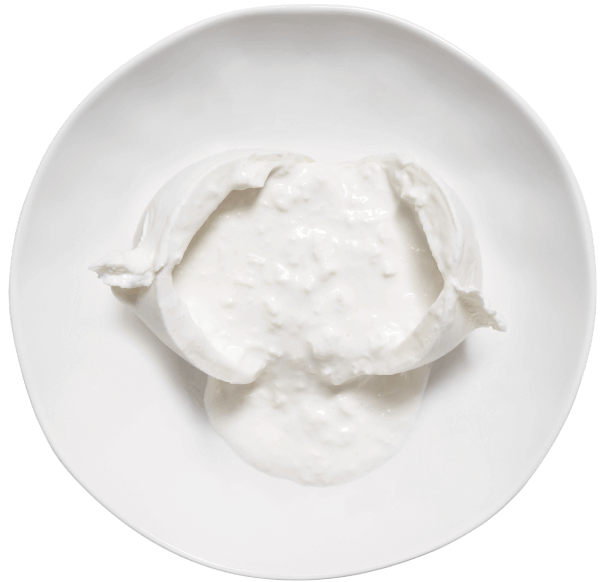 BURRATA